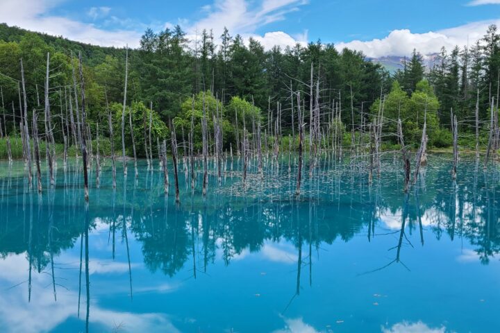 青い池（北海道・2枚目）