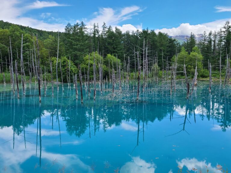 青い池（北海道・2枚目）