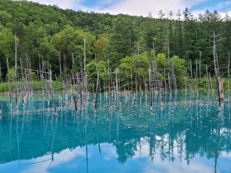 青い池（北海道・3枚目）