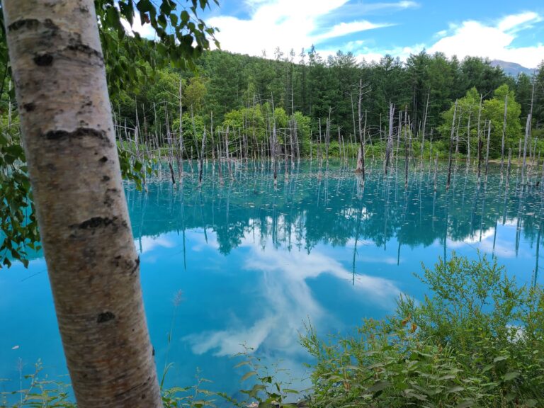 青い池（北海道・6枚目）