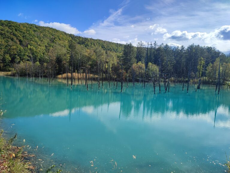 青い池（北海道・1枚目）
